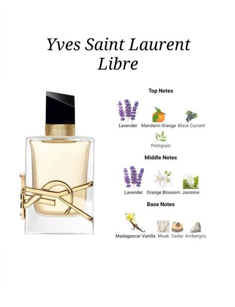 ysl le parfum notes|ysl le parfum 3.3 oz.